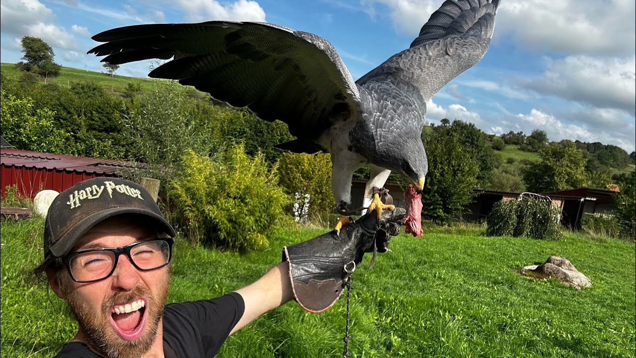 Die Woche, ein paar V&ouml;gel und ich 🦅🦉😊 Greifvogelwarte Feldatal