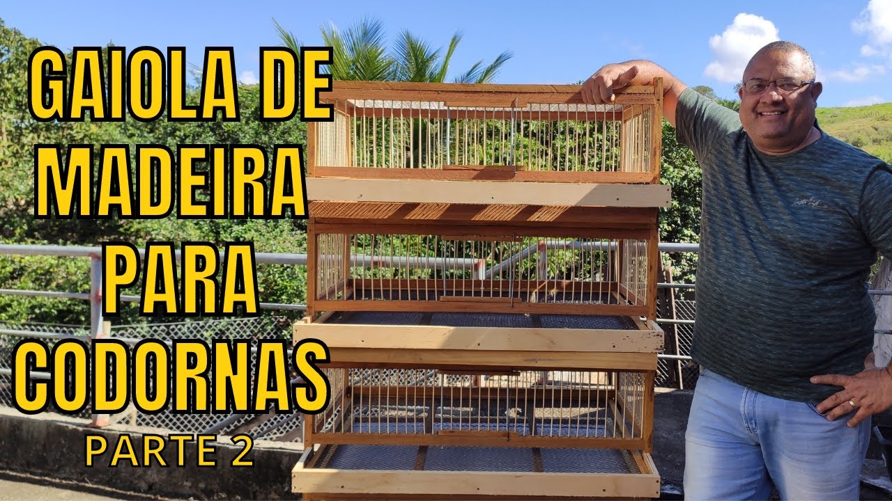 Gaiola de Madeira para Codornas 