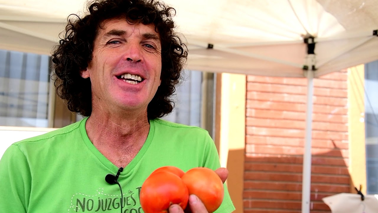 Mercado agroecol&oacute;gico y local de norteTeruel