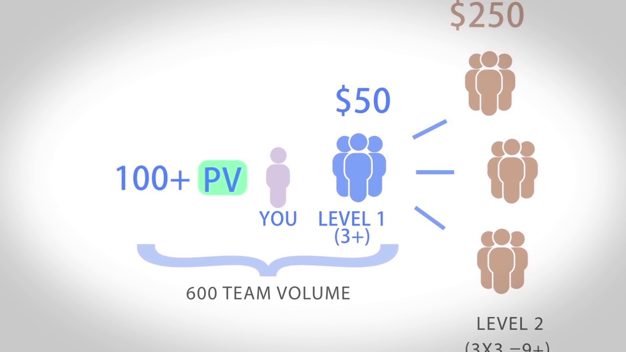 doTERRA Compensation Plan explained by Do Essential Oils