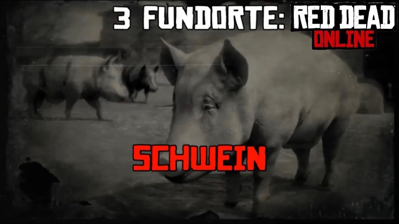 ✪ Red Dead Online | 3 Schweine Fundorte [German] ✪