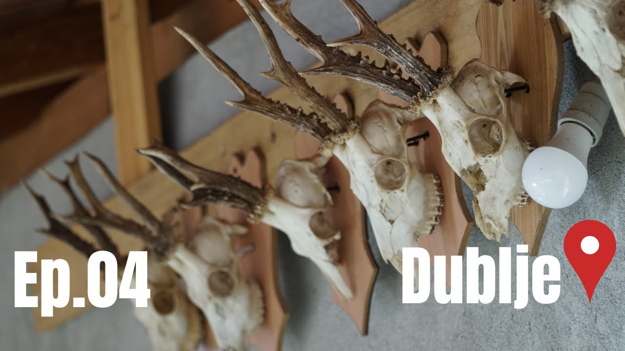 Lov na divlje svinje - Dublje Ep.04 - Wild Boar Hunting