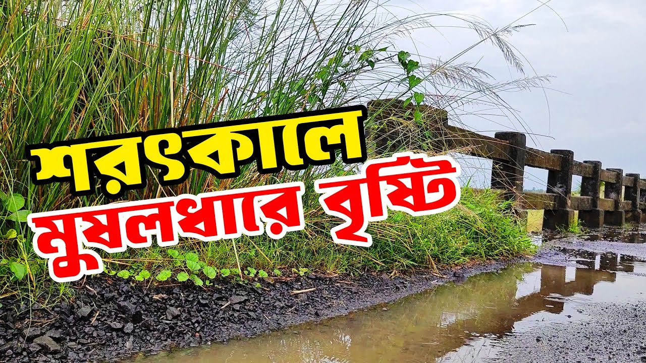 শরৎকালে বৃষ্টি | Village Rain Ambience | Heavy Rainfall In Autumn