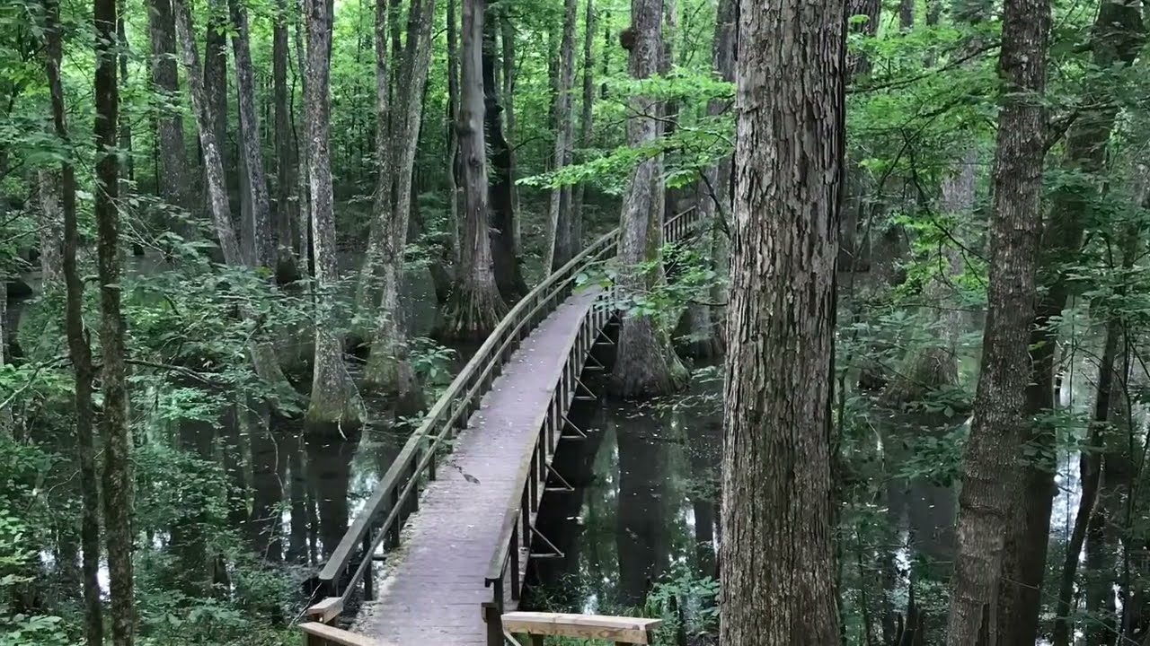Come Along The Natchez Trail With Me