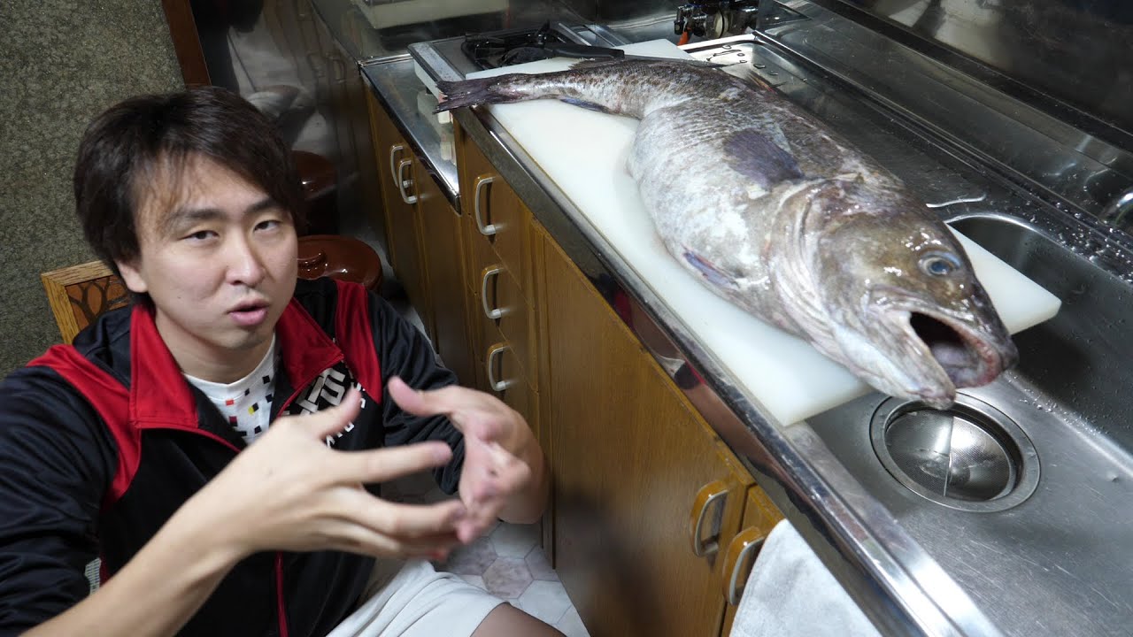 【奇跡】市場のはしっこに売ってたkg300円の激安マダラ。エサを食べてぱんぱんに膨れ上がってると思ったお腹の中からまさかの!!!