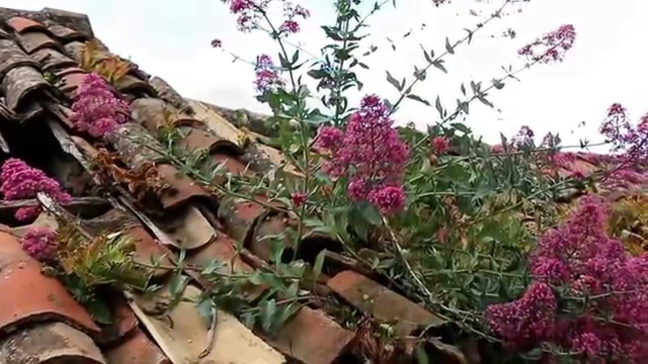 Staiti Un borgo da amare