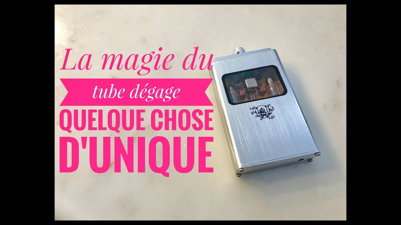 Amplificateur Hybride A tube Puce Burson V5i Dual