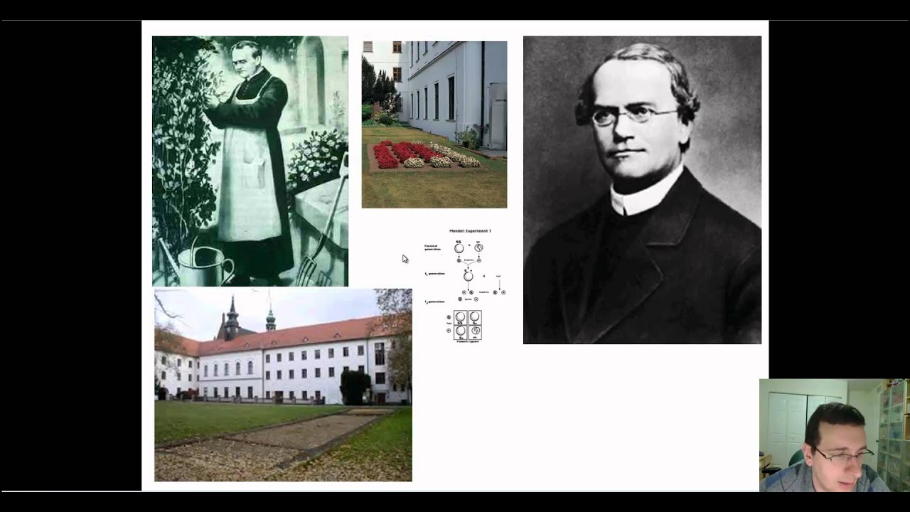 Mendelian Genetics (Part 2): Mendel & The Gene Idea