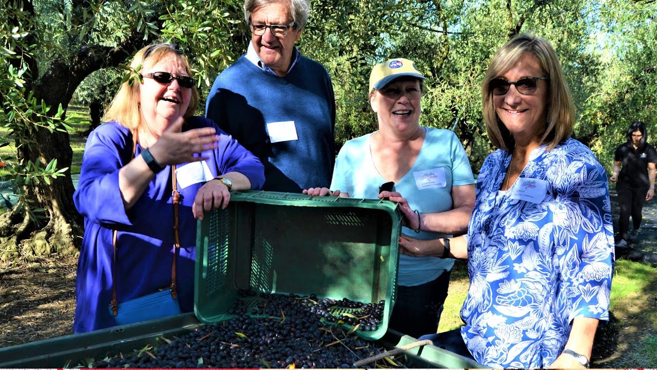 Cultural, Culinary & Olive Harvest Experience Tour in Abruzzo Italy
