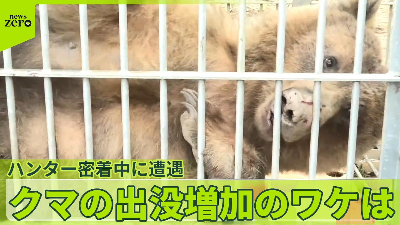 【ハンター密着】クマ出没増えたワケは？  駆除にハンター“ホンネ”語る