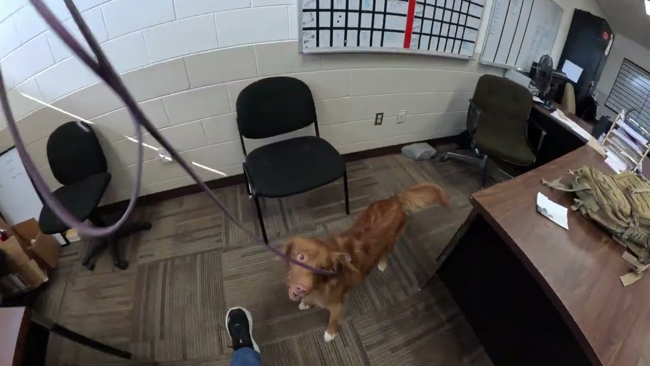 2 7 26 Murfreesboro TN GoPro Hallway