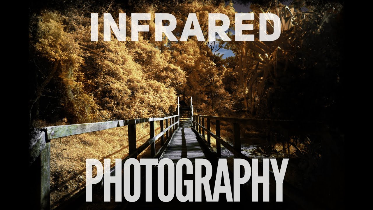 Learn Photography | What is Infrared Photography?