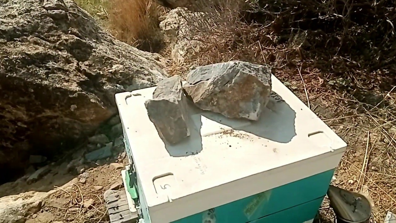 Επιθεωρηση του 3 μετα τους χειρισμους διασωσης του