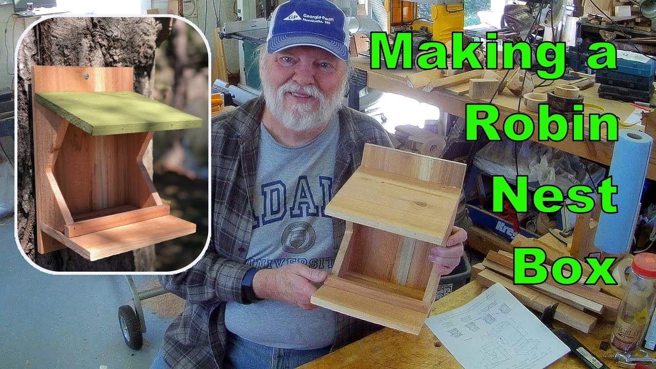 Building Cardinal & Robin Birdhouse