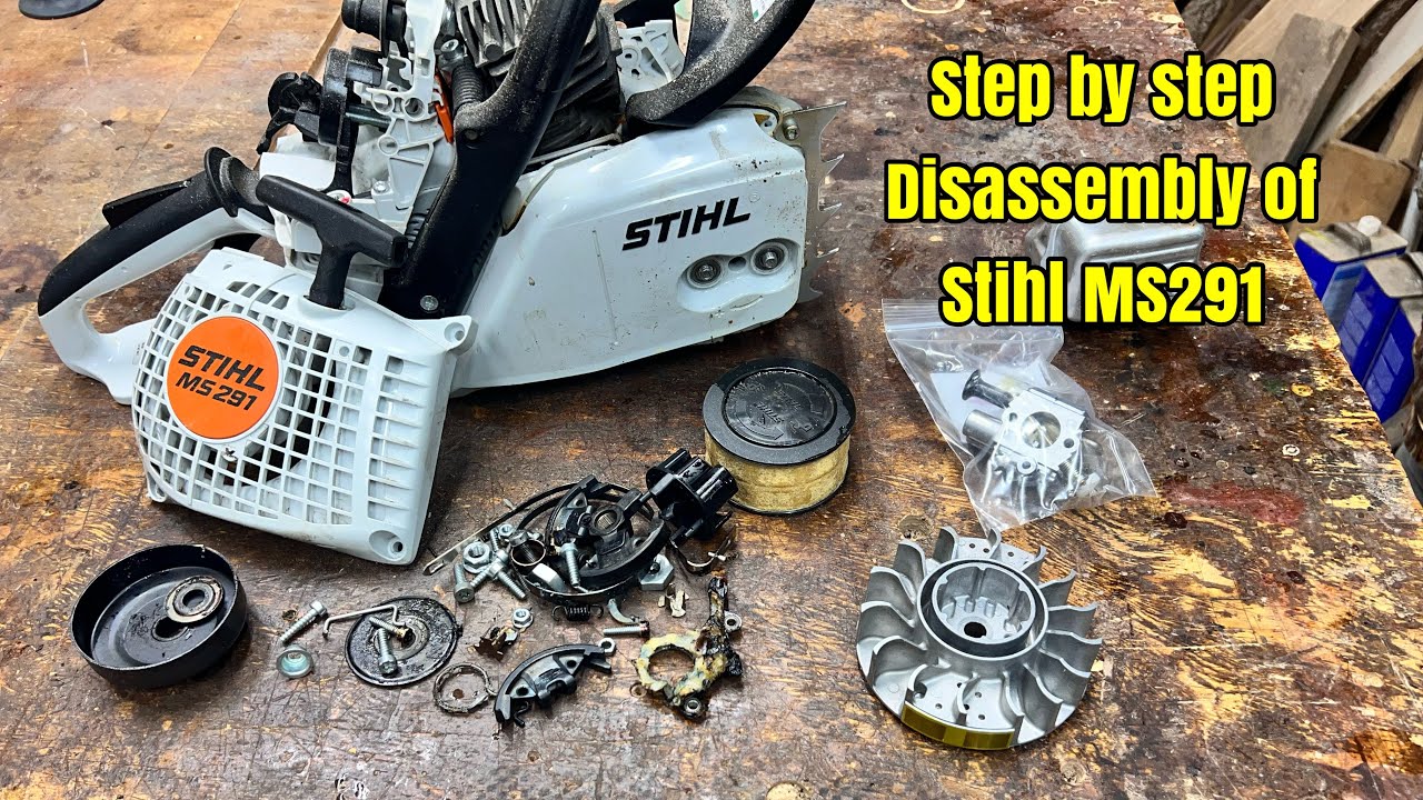 Disassembling this Stihl MS291 full tutorial.