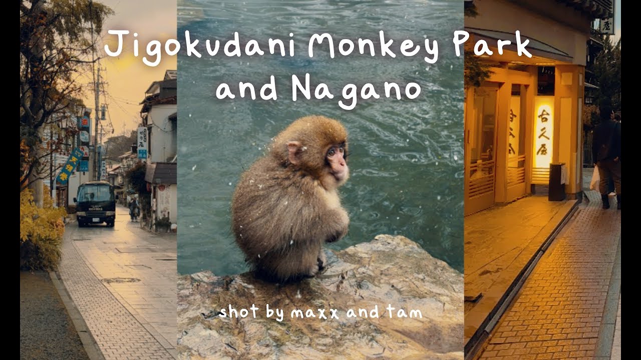 Jigokudani Monkey Park and Nagano (December 2024, Shiba Onsen in Japan)