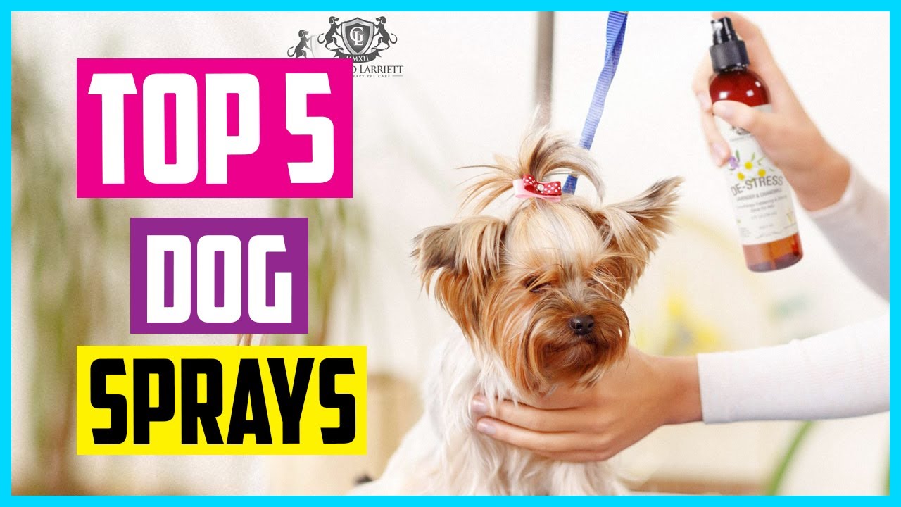 ✅ Top 5 Best Dog Sprays In 2024 Review