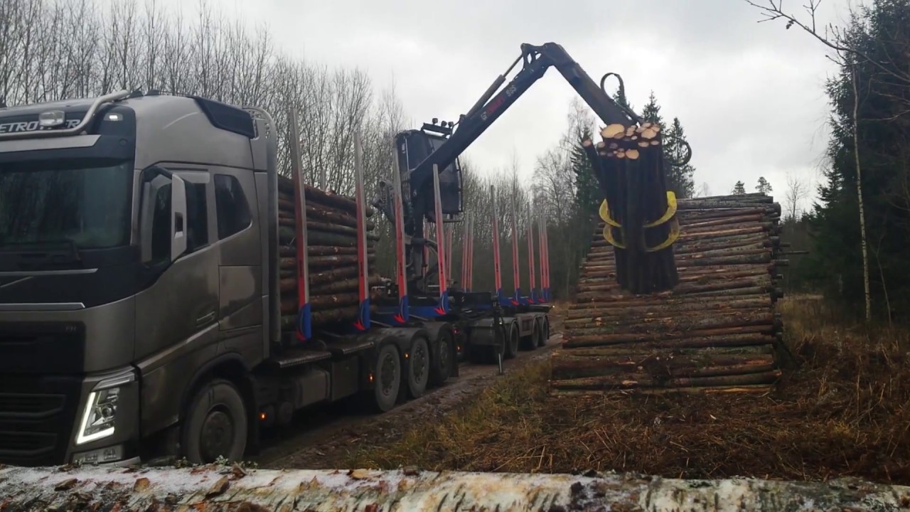 Volvo FH 540 (2015) with LOGLIFT 96S - timber truck loading time-lapse in Estonia