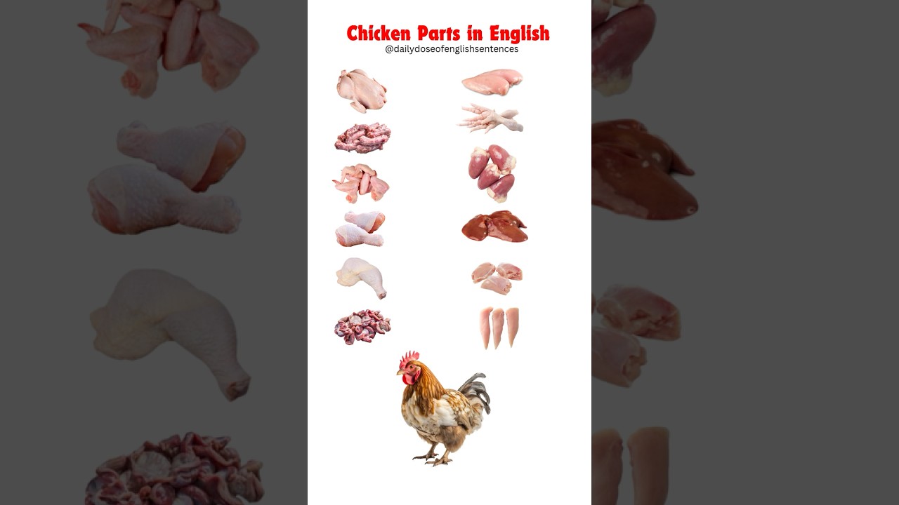 🐔 All Chicken Parts Explained! | Chicken Meat & Anatomy Vocabulary 🍗🔥#english #shortsvideo