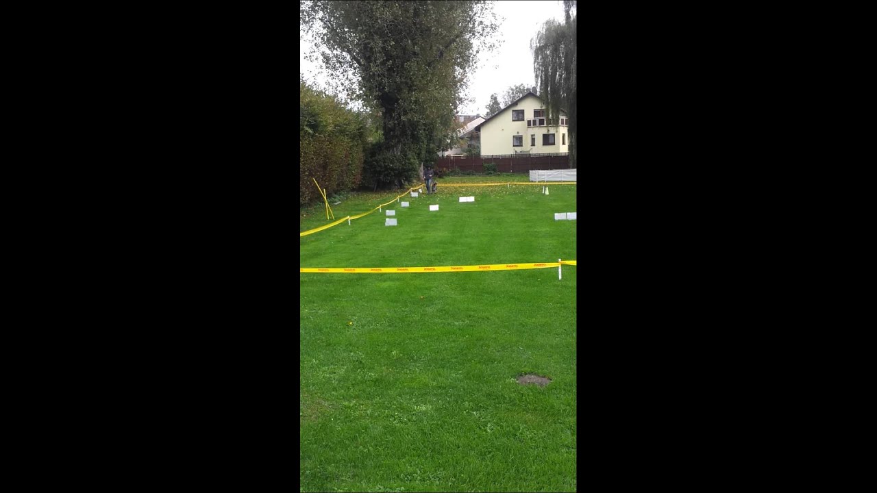 11.10.2014 Br&uuml;hl-Rohrhof