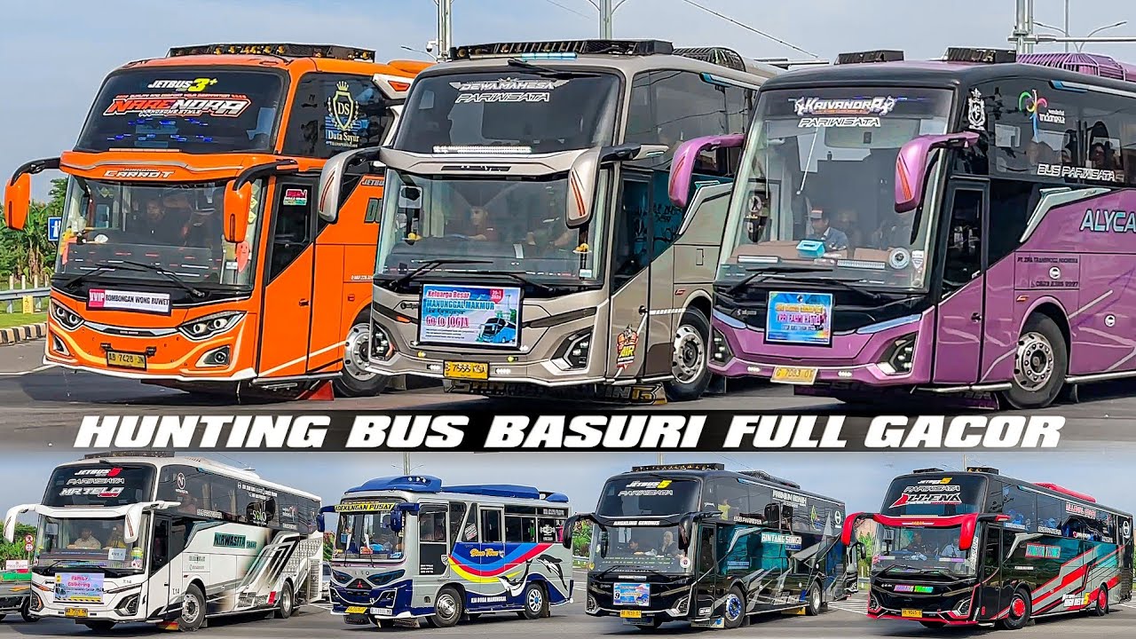 HUNTING BUS BASURI FULL GACOR‼️ Ternyata Lumba-Lumba Darat Ada Tiruan Versi Mininya‼️