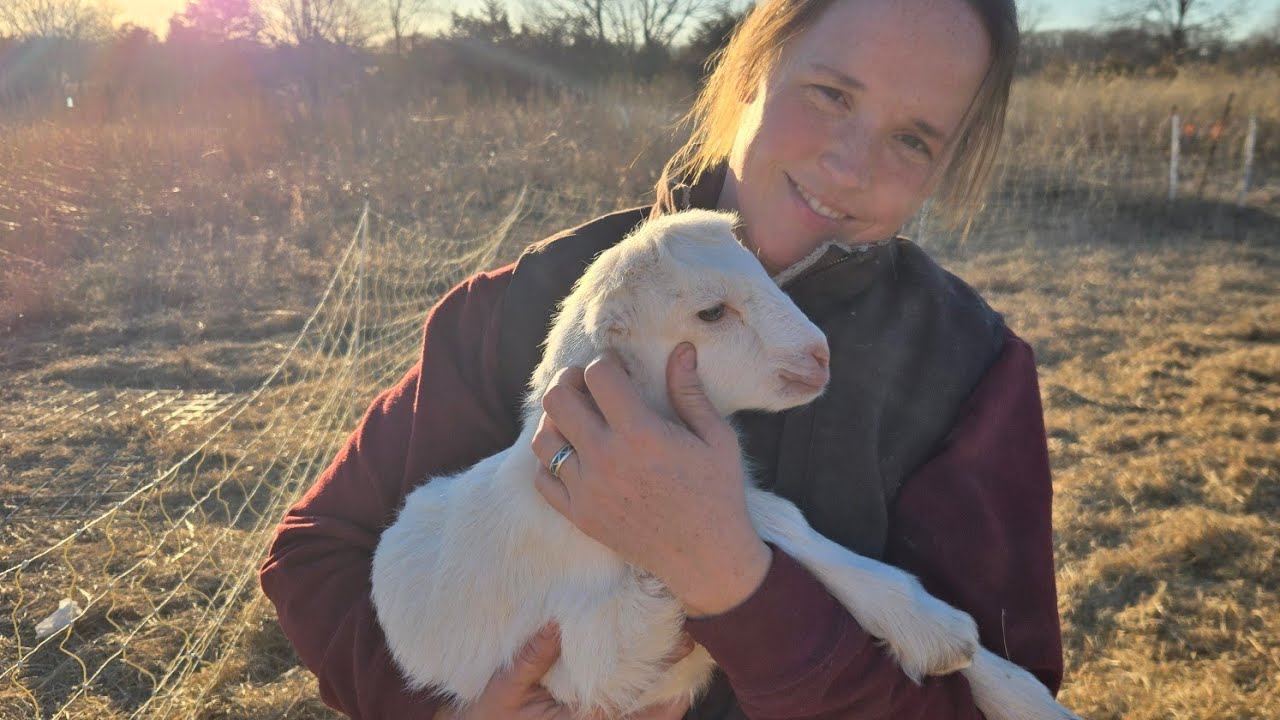 Introduction to Prairie Creek Creamery