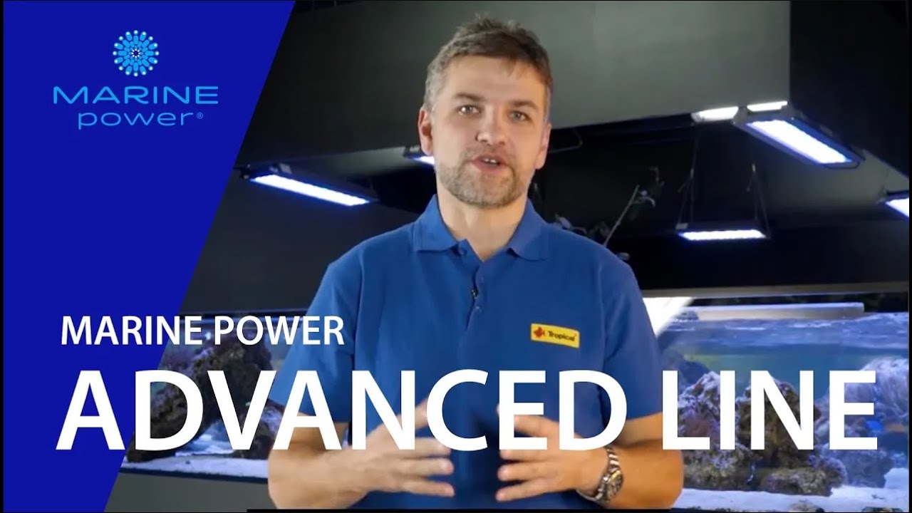TROPICAL TOUR | Suplementacja zbiornika morskiego z Marine Power Advanced