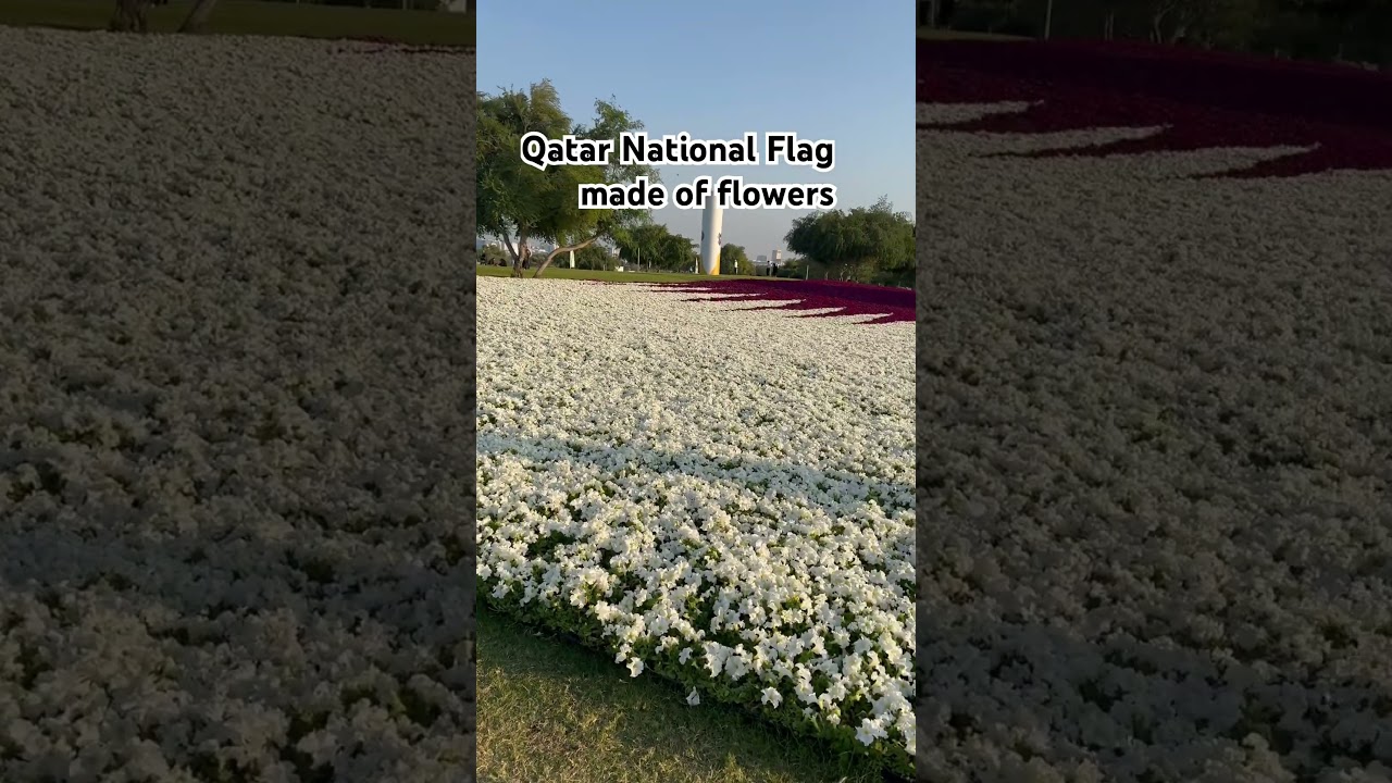 Beautiful Qatar Flag at Doha Expo 2023 | #dohaexpo2023