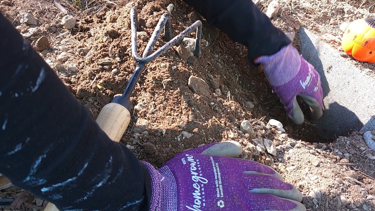 Weeding Day #2🌿garden bed prep