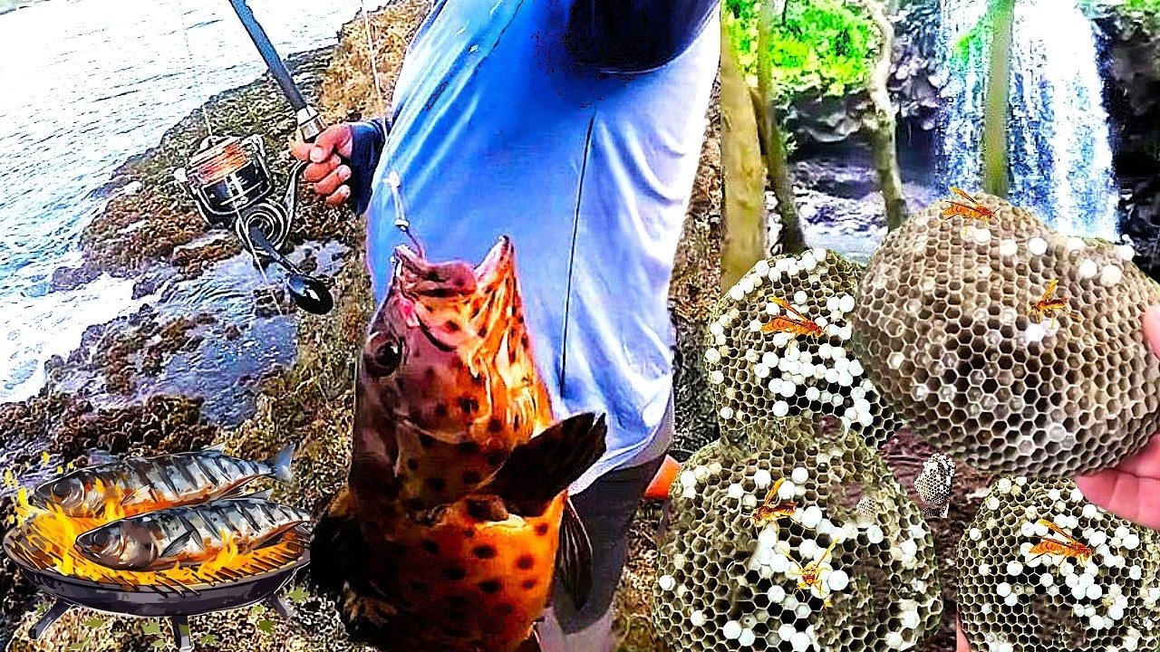 On Part P&ecirc;cher et Chasser les Gu&ecirc;pes &agrave; L'&icirc;le Maurice Suriname ( #fishing974 )