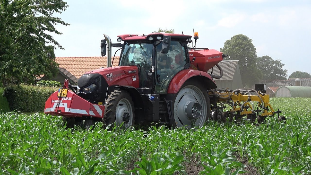 Mais onderzaaien met Case IH Maxxum 125 en Busa roterende schoffel - Zandman Beerze (2019)