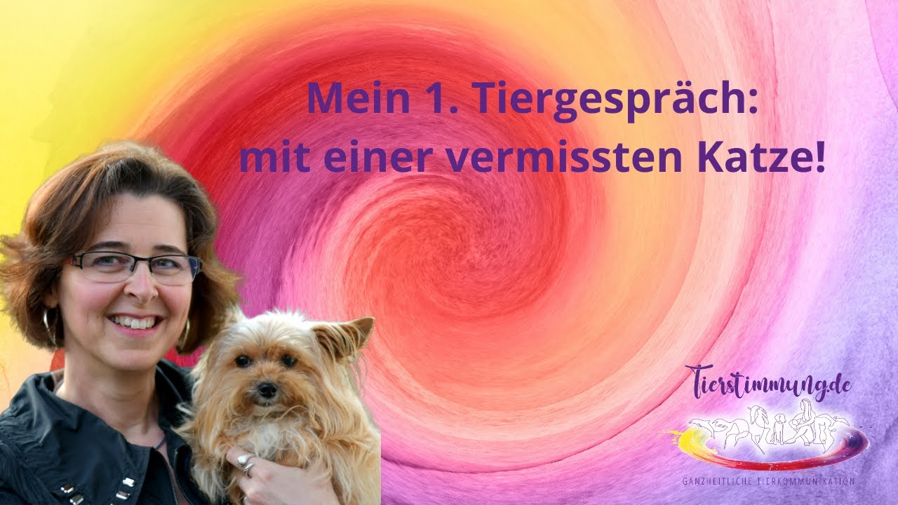 Tierkommunikation: Mein 1. Tiergespr&auml;ch mit einer vermissten Katze 💔