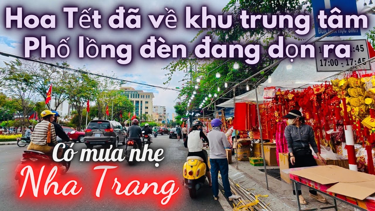 Phố lồng đèn chuẩn bị rực rỡ | Hoa Tết đã về Nha Trang tại khu trung tâm