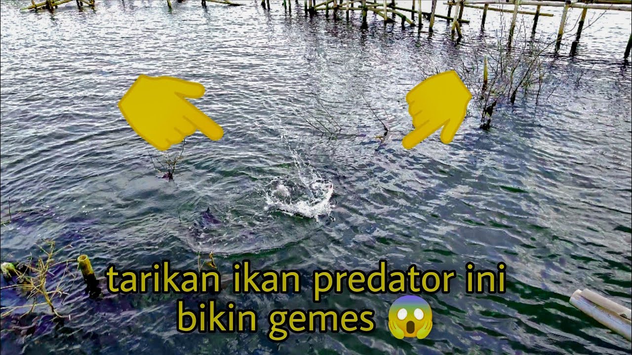 mancing di rumpon marina semarang