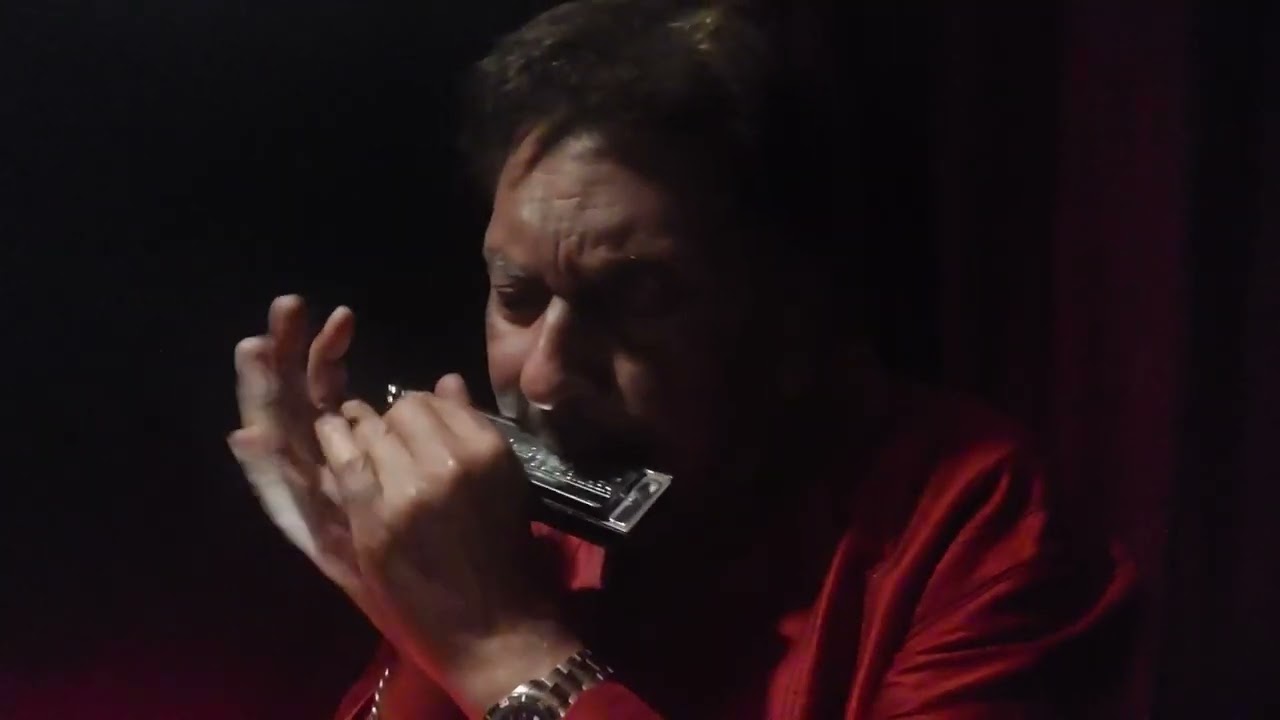 Ye Raat Bheegi Bheegi on Indian Harmonica by Ashok Bhandari | Bollywood song of Lata Mangeshkar