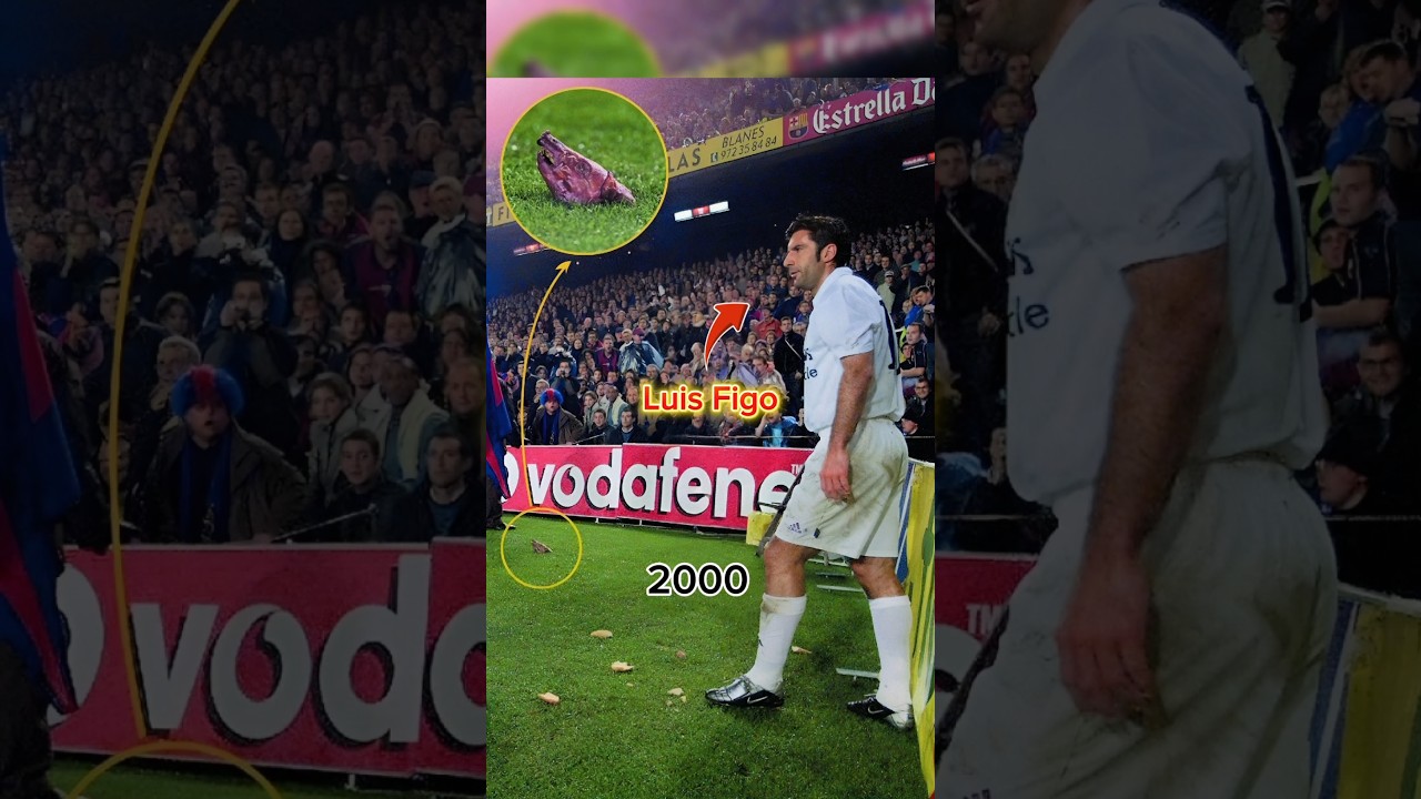 Luis Figo Evolution 🐷