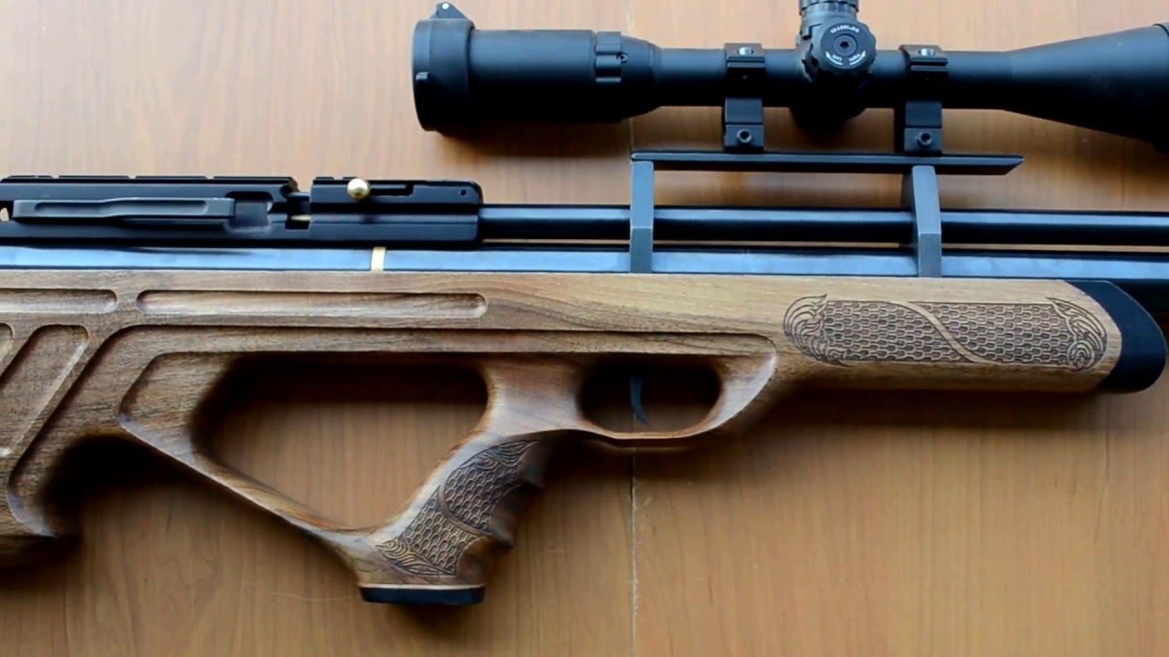 Hatsan AT 44-10   8 bullpup