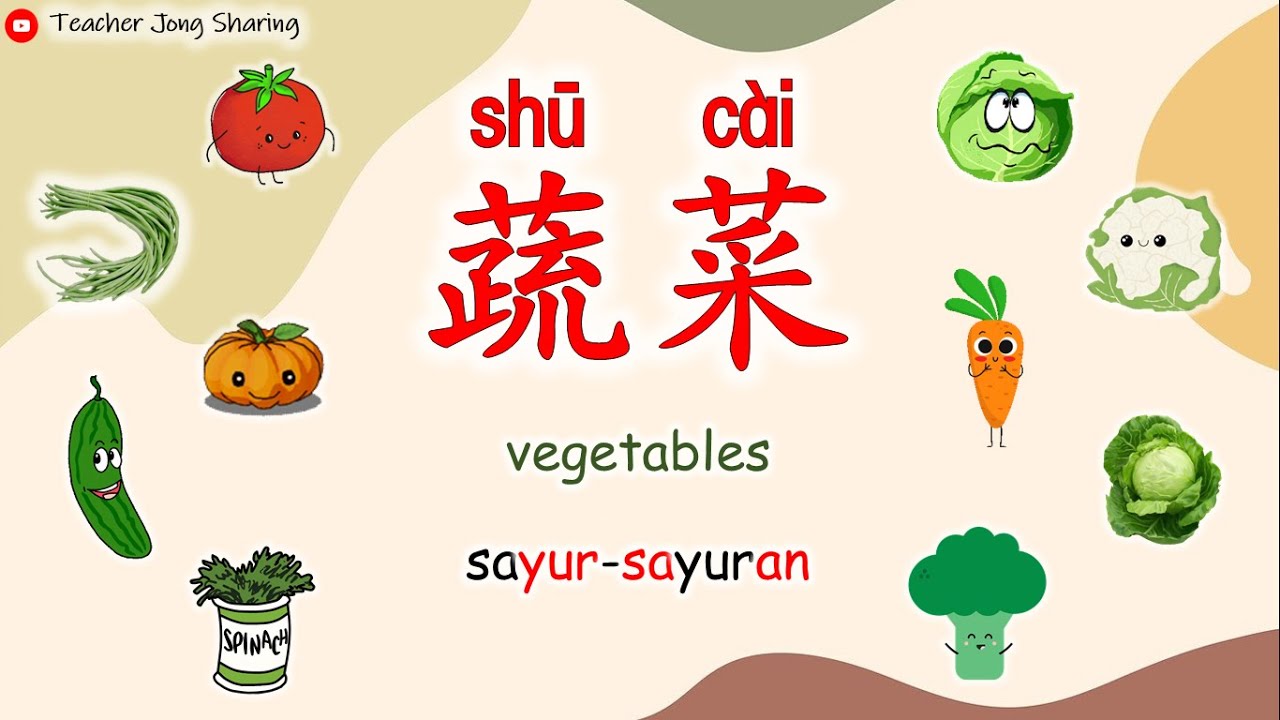 科学 ｜ 认识蔬菜 🥬  Vegetables ｜ 幼教 / 学期教育 Kindergarten Preschool