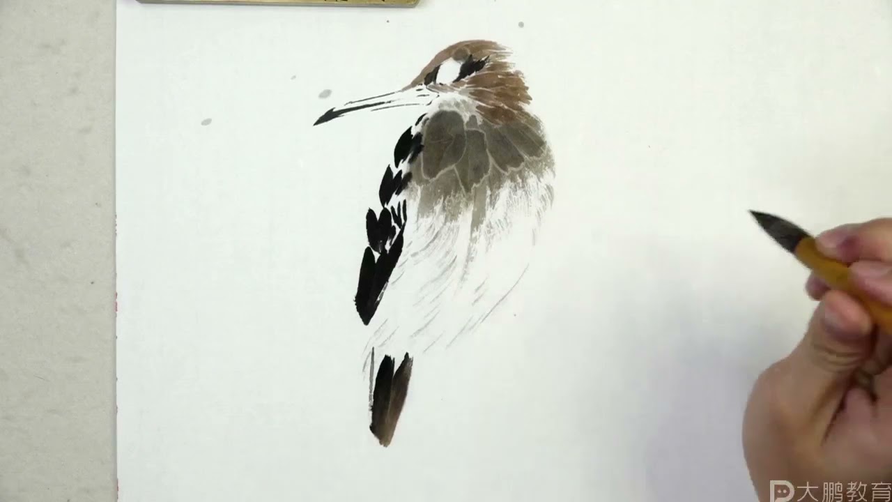 国画各种鸟的画法深入解析Chinese painting bird's drawing method