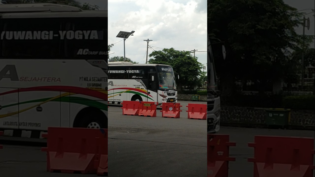 JOGJA SOLO JEMBER BANYUWANGI BUS MILA SEJAHTERA SNIPER 