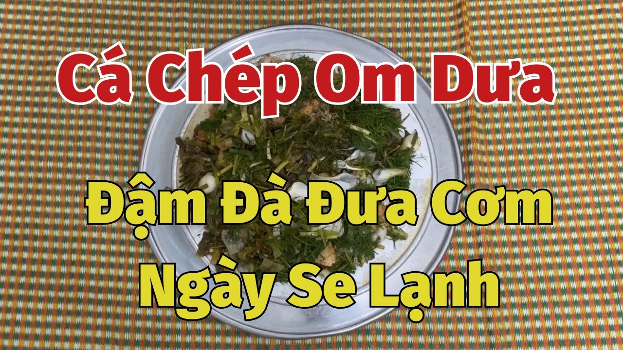 Cá Chép Om Dưa Đậm Đà Đưa Cơm Ngày Se Se Lạnh