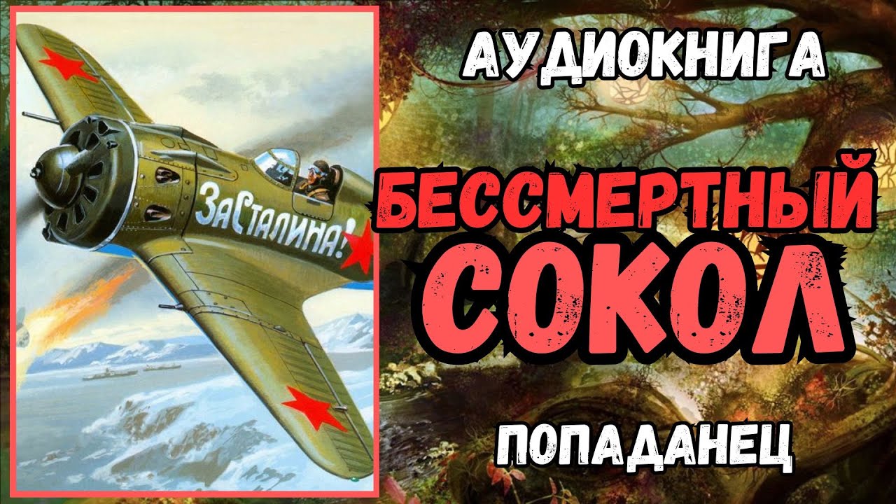 АУДИОРАССКАЗ | ПОПАДАНЕЦ В ПРОШЛОЕ: БЕССМЕРТНЫЙ СОКОЛ