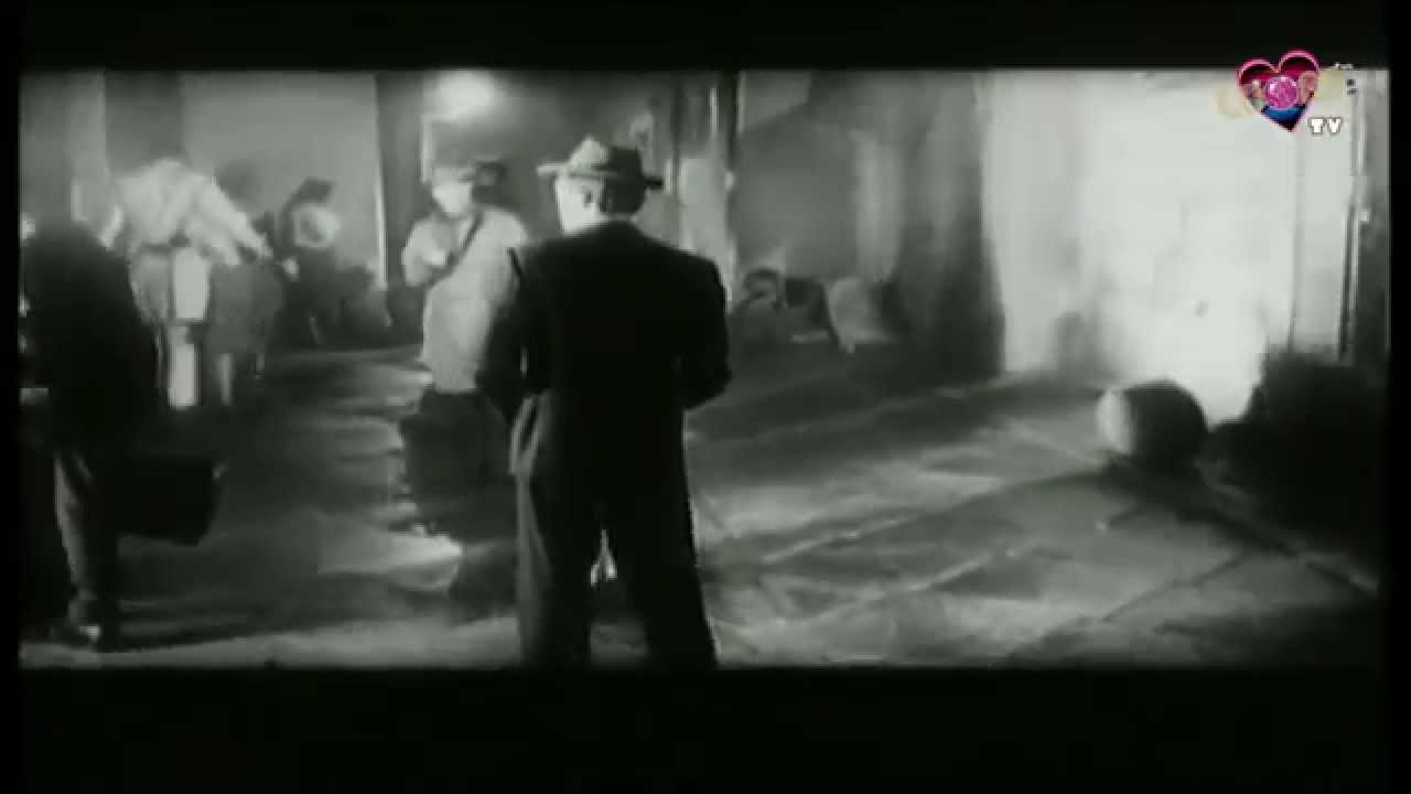 #3 VIDEOTECA MUSICAL 