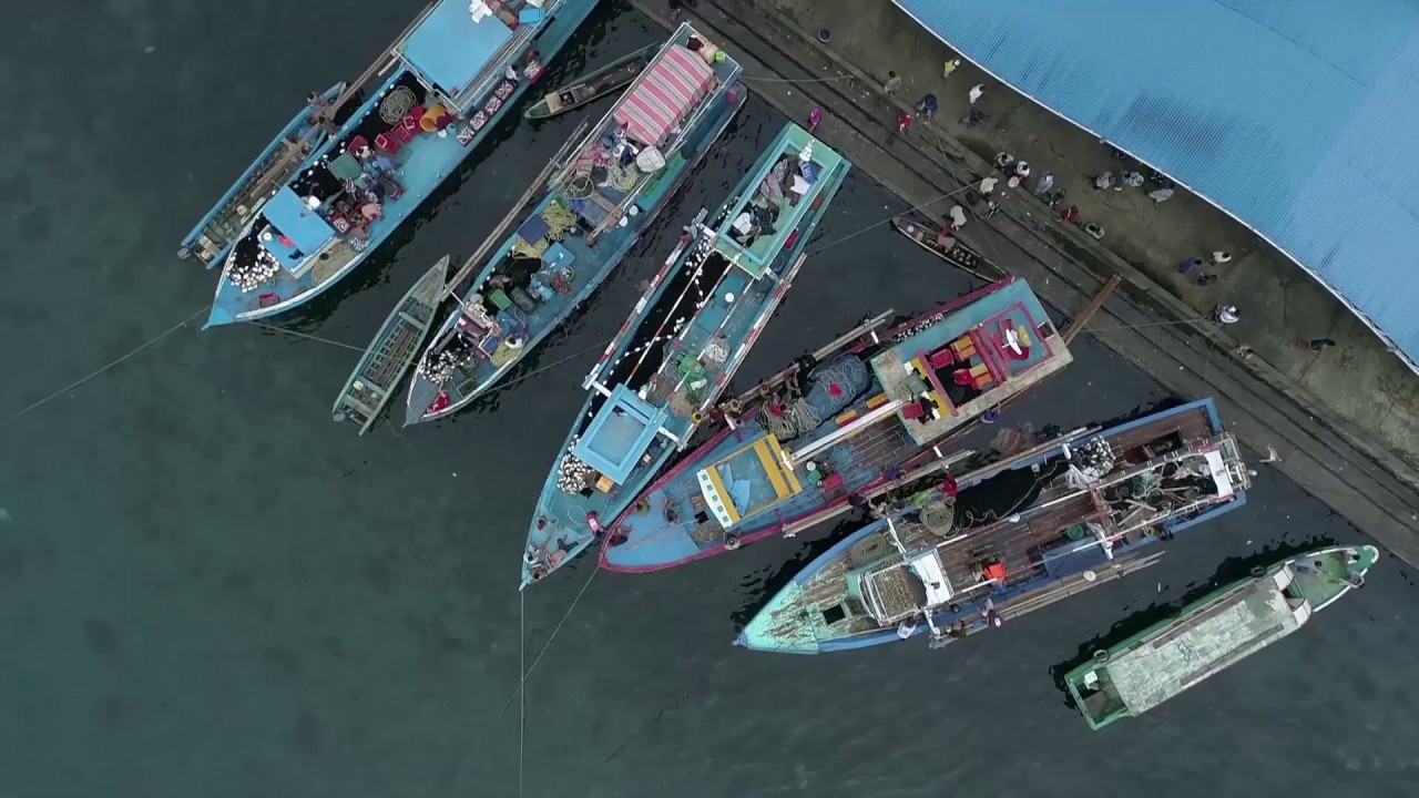 Indonesian Multistakeholder Platform for Sustainable Fisheries launching.