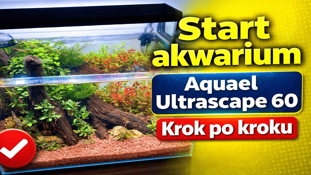 Start akwarium Aquael Ultrscape 60. Krok po kroku