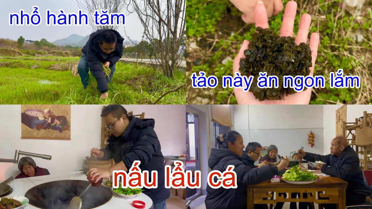 [1140]Sáng Đi Chợ_Về Ghé Dọc Đường Hái Rau Dại Về Nấu Lẩu Cá.