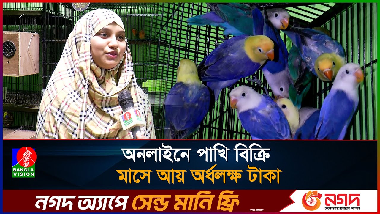 সজিব-মেঘলা দম্পতির খামারে দূর্লভ বিদেশি পাখির সমাহার