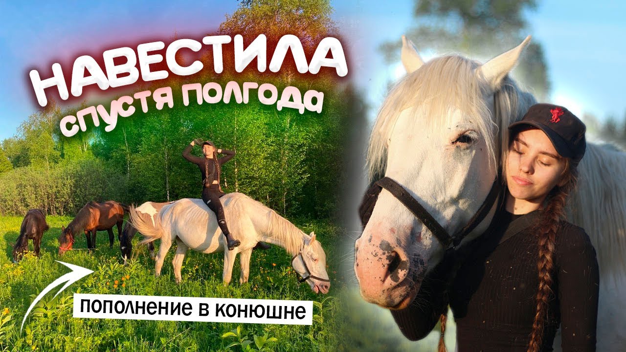 Пополнение в конюшне 😍 КОННАЯ ПРОГУЛКА Vlog