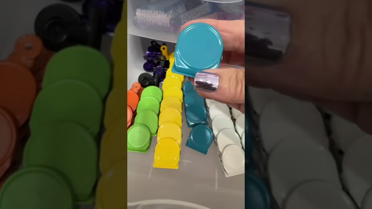 Mystery book bundle in teal, aqua and blue 💙🩵￼