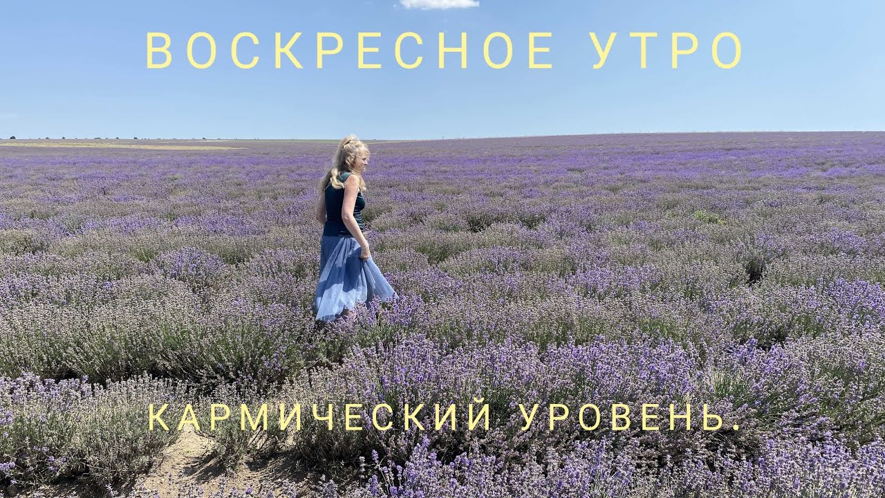 2 февраля 2025 г.